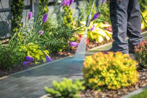 Best Driveway Pressure Washing  in Waynesville, MO