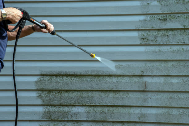 Best Solar Panel Cleaning  in Waynesville, MO