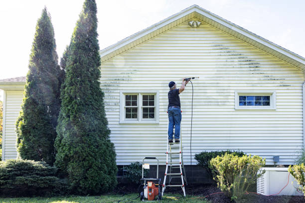 Best Gutter Cleaning  in Waynesville, MO